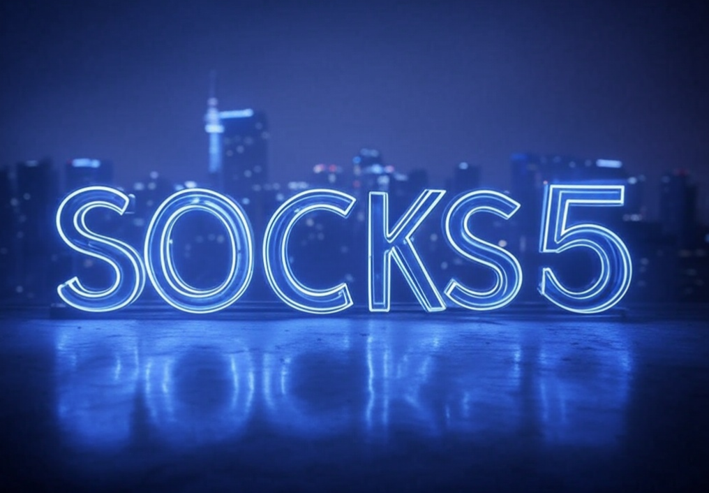 SOCKS5代理IP赋能网络安全：应用创新与防护效能提升